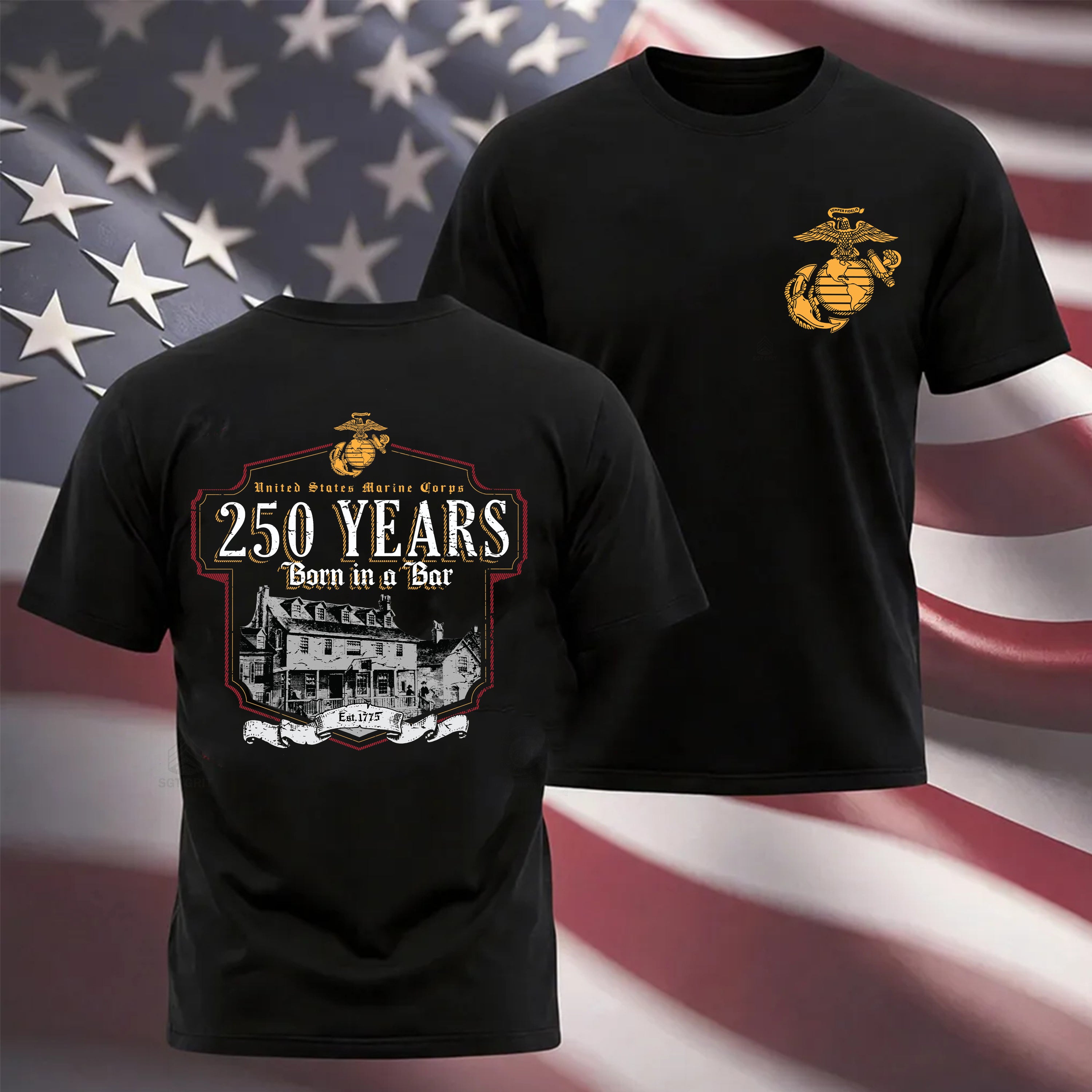 USMC Born in a Bar 250 Years T-Shirt